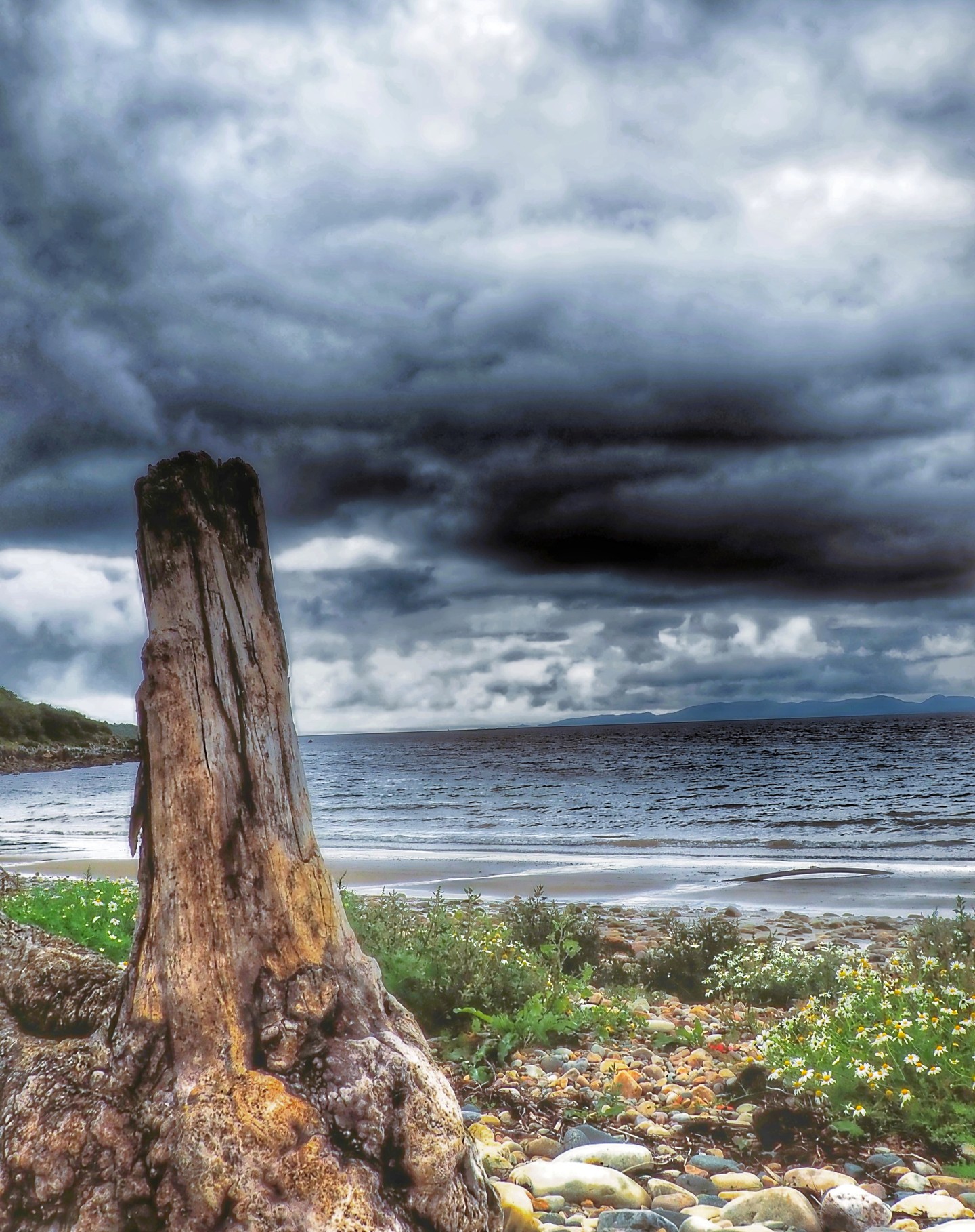 Ancient Tree Stump Rocky Coastal Beach Stormy
