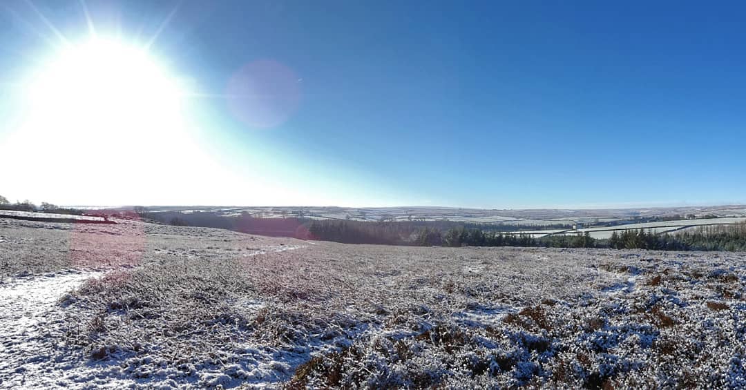 Frost Covered Heathland Winter Sun Blue Sky
