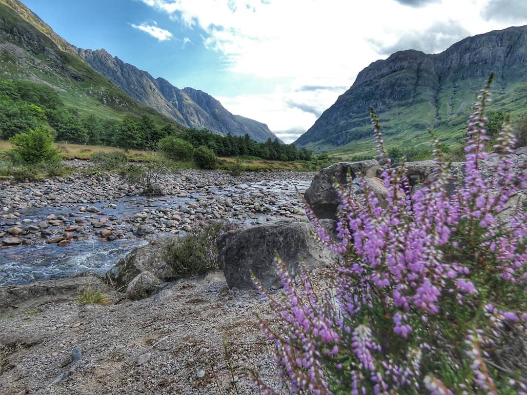 Highland Valley Heather Rocky Mountain Stream