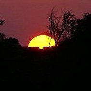 Deep Red Sunset Bright Yellow Sun Disc Silhouetted Trees Rooftops