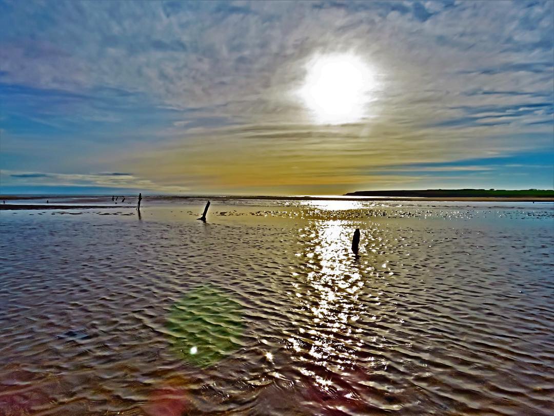 Tidal Flat Low Tide Sun Glow Old Wooden Posts Rippled Shallow Water Coastal