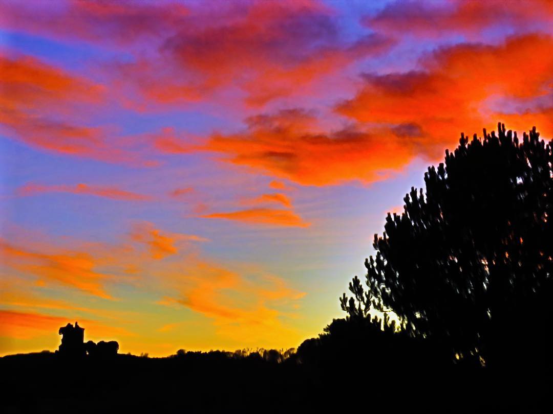 Vivid Sunset Landscape Orange Red Purple Sky Pine Tree Silhouette Castle