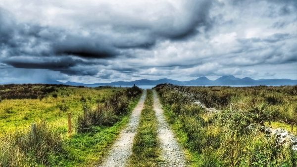Coastal Moorland Track