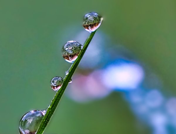 Lined Droplets