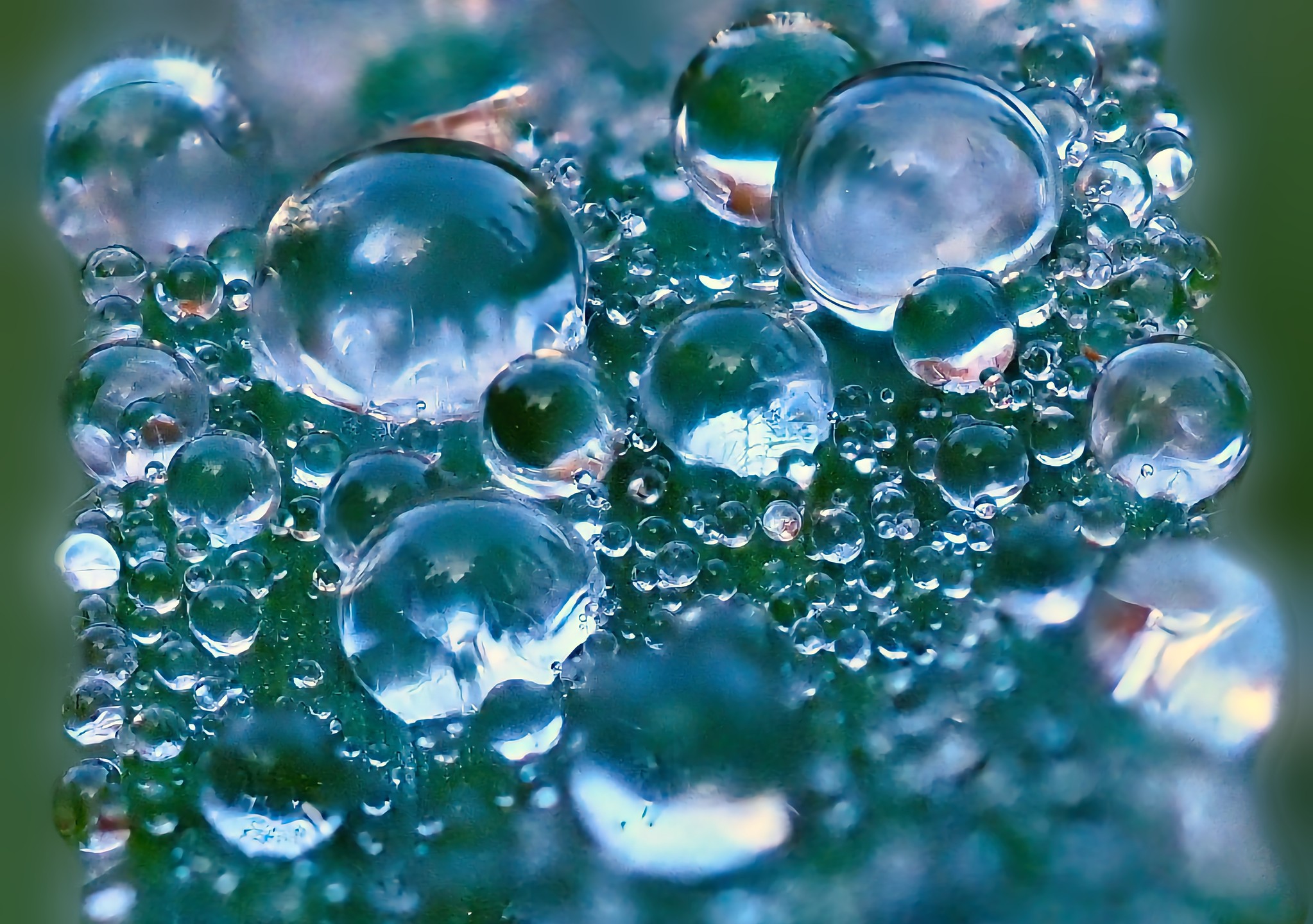 Water Droplets Spherical Dew Drops Blue Green Moss Macro Reflections